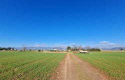 8 Carrer Comerç, Sa Pobla, Balearic Islands 07420