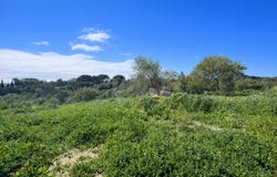 Sotogrande, Andalusia 11310