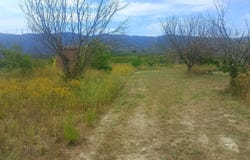 Bèlgida, Valencian Community 46868