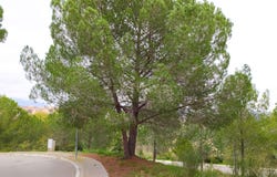 Sant Llorenç d'Hortons, Catalonia