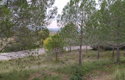Sant Llorenç d'Hortons, Catalonia