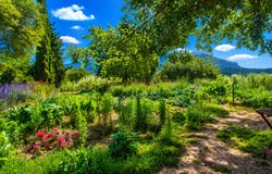 Gaucín, Andalusia 29480