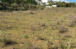 Cancelada, Andalucía