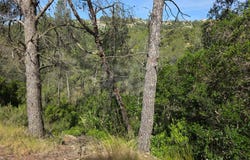 Olesa de Bonesvalls, Catalonia 08795