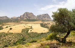 Riogordo, Malaga
