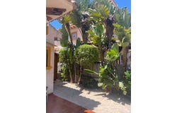 Orihuela-Costa, Valencian Community 03189