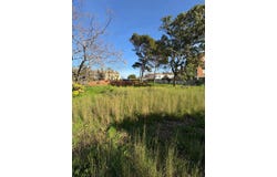 Dénia, Valencian Community 03700