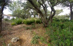 Begur, Catalonia 17255