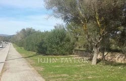 Islas Baleares, Balearic Islands 07180