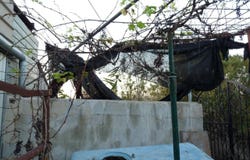 Pego, Valencian Community 03780