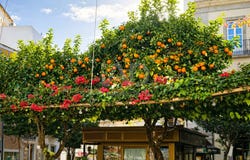 Tarifa, Andalusia 11380