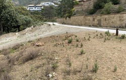 La Fuensanta, Andalusia 29130