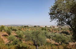 Ronda, Andalusia 29400