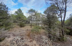 Santa Agnès de Corona, Balearic Islands 07828