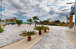 Elche, Valencian Community 03290