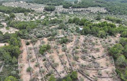 El Perello, Catalonia 43519