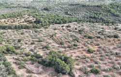 El Perello, Catalonia 43519