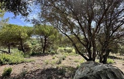 Sotogrande, San Roque, Cadiz