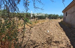 Toledo, Castile-La Mancha 45950
