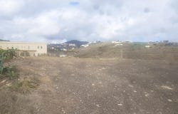 El Sabinal, Canary Islands 35017