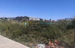 Daimús, Valencian Community 46710