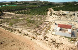 Orihuela, Valencian Community 03313