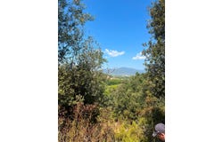 Sant Celoni, Catalonia