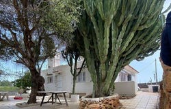 Playa Den Bossa, Ibiza 0780