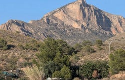Petrer, Valencian Community 03610