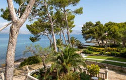 Carrer de Ses Xarxes, 20, 07400 Alcúdia, Illes Balears, Spain, Alcúdia, Balearic Islands 07400