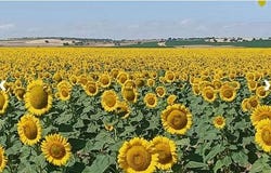 Badajoz, Extremadura