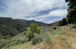 El Burgo, Andalusia 29420