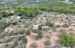 El Perello, Catalonia 43519