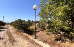 Elche pedanias, Valencian Community 03295