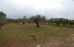 El Perelló, Catalonia 43519