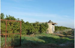 Oliva, Valencian Community 46780