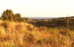 Casares, Andalusia 29690