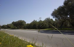 Santa Ponsa, Balearic Islands 7180