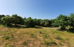 Sotogrande, Andalusia 11310