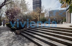 El Viso, Community of Madrid 28036