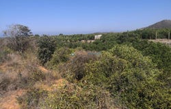 Oliva, Valencian Community 46780