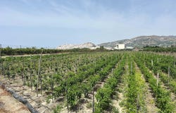 Salobreña, Andalusia