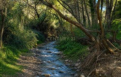 Ojén, Andalusia