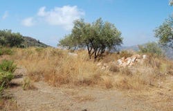 Cómpeta, Andalusia 29754