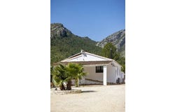Pedreguer, Valencian Community 03750