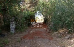 Oliva, Valencian Community 46780