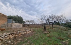 El Perello, Catalonia 43519
