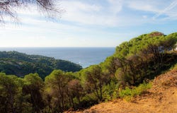 Lloret de Mar, Catalonia 17310