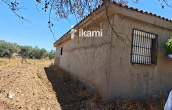 Toledo, Castile-La Mancha 45950