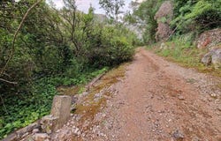 Alzira, Valencian Community
